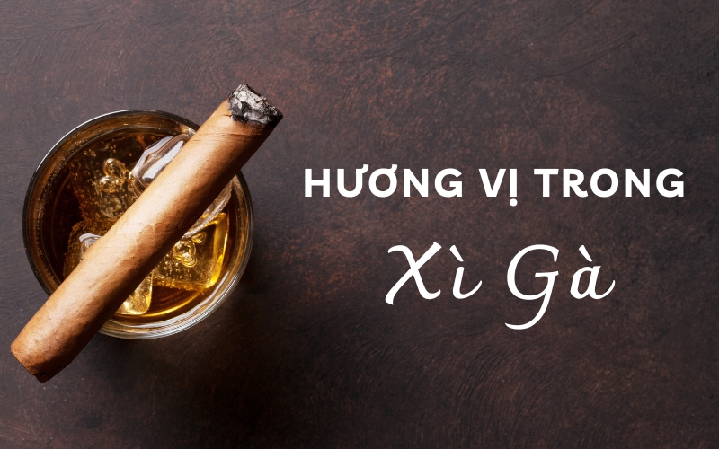 hương vị trong xì gà